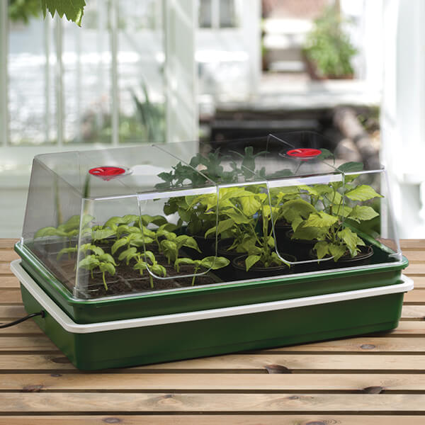 Electric propagator