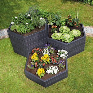 What Are The Benefits Of Raised Beds?