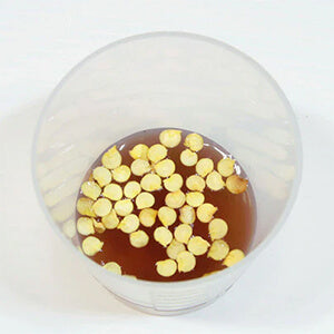 Growing Beetroot . . . follow our common sense approach