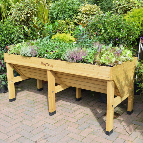 Vegtrug winter care advice