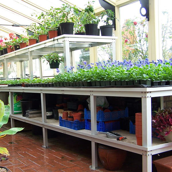 Greenhouse staging displayed in a greenhouse