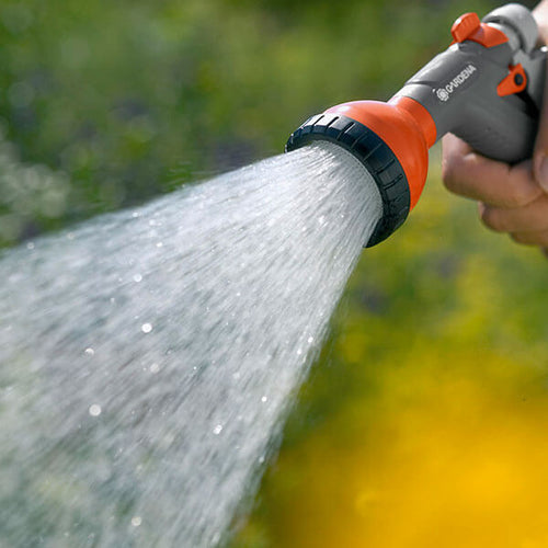 Summer plant watering guidelines