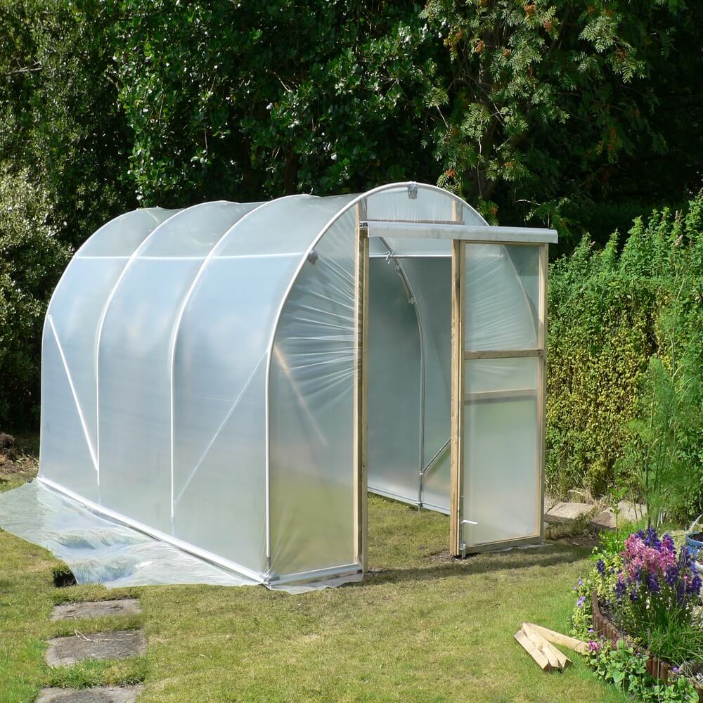 Polycarbonate greenhouse in a garden setting with greenery