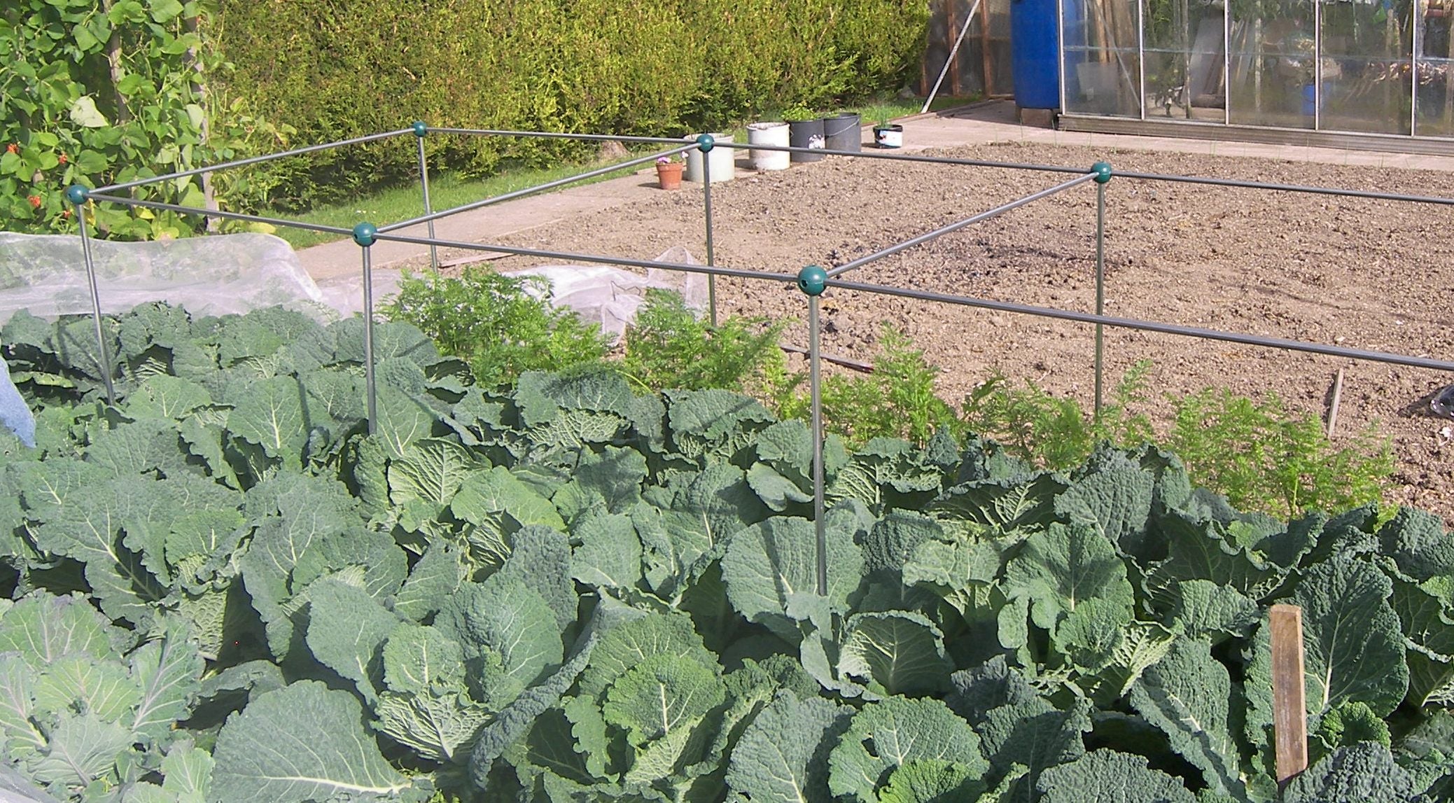 garden cage without netting