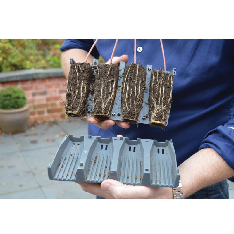 Deep Root Success Kit And Cells 28 Cell