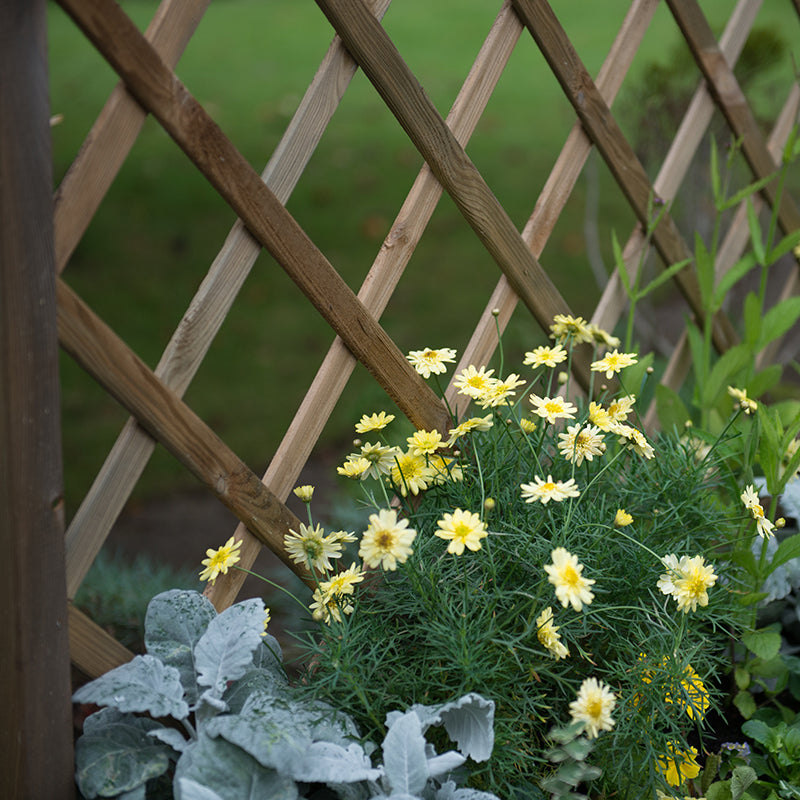 Venice Wooden Planter