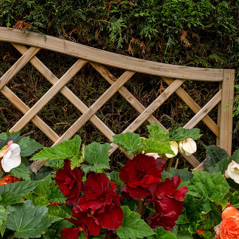 Venice Wooden Planter