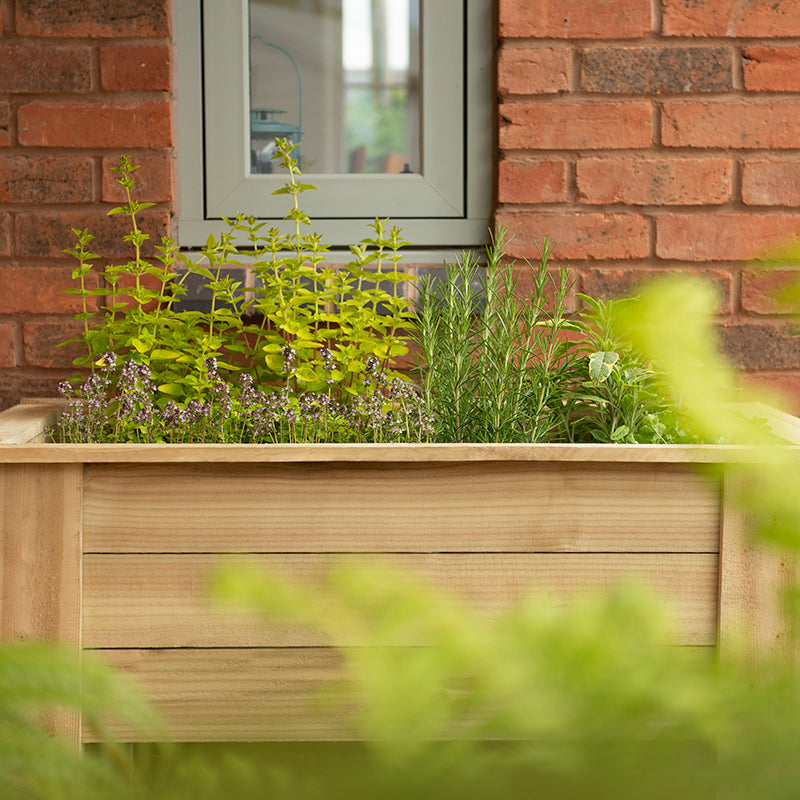 Kitchen Garden Planters
