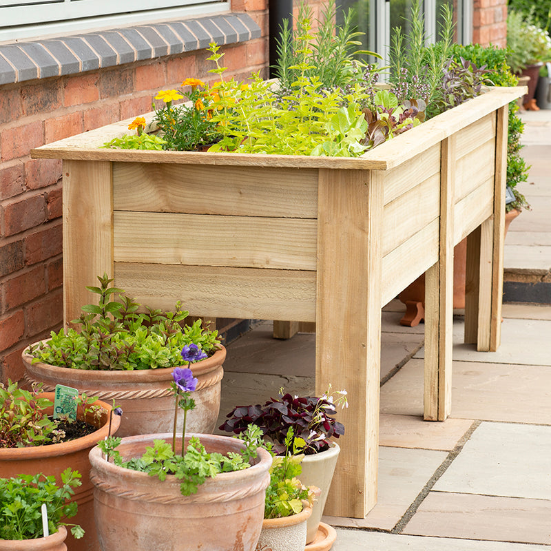 Kitchen Garden Planters