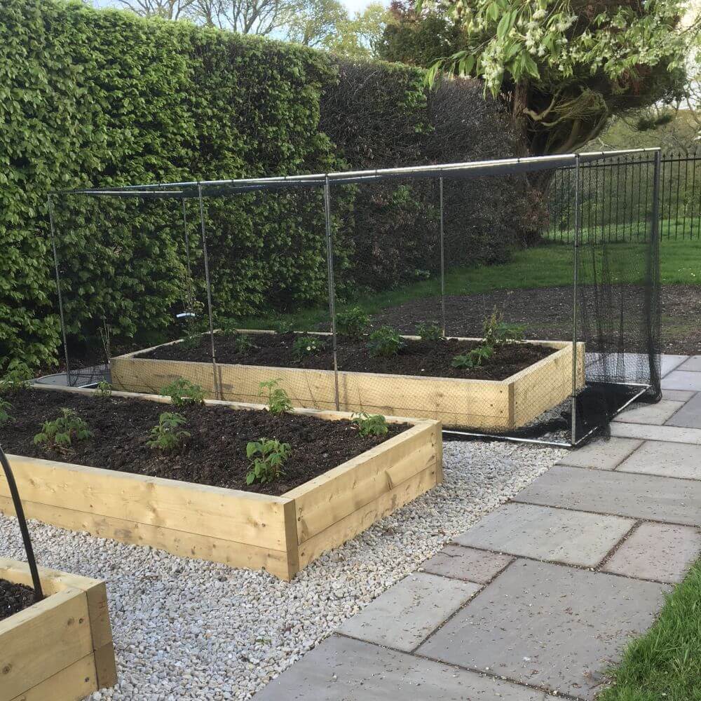 Three raised garden beds with plants, surrounded by vegetable cages, on a patio area.