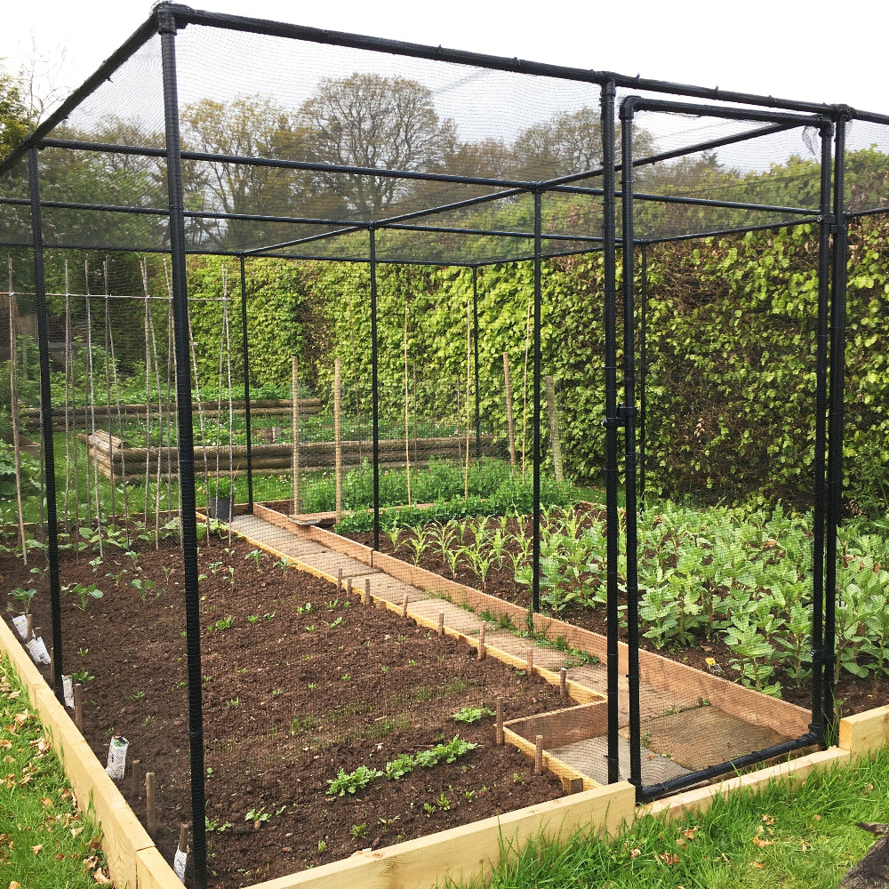 premium black fruit cage in garden