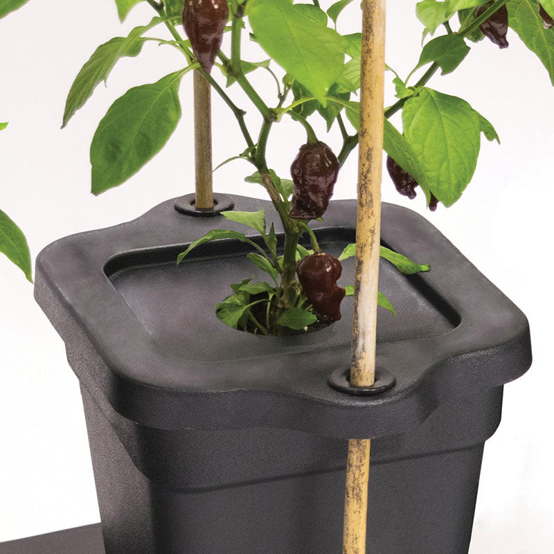 Pot Cap And Cane Support Kit (for Quadgrow)