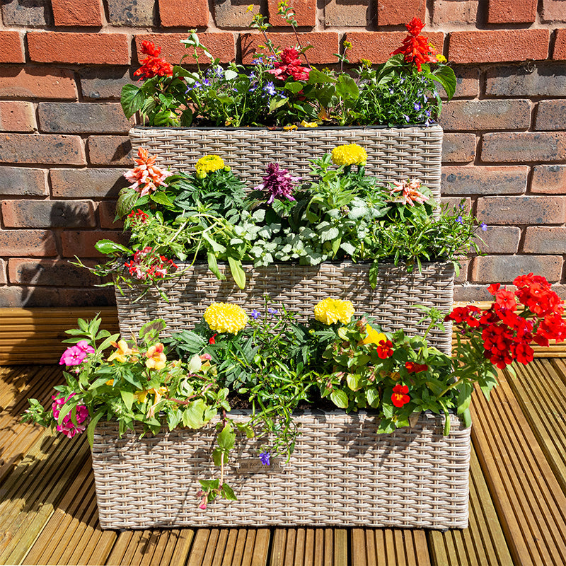 Rowlinson Tier Rattan Planter