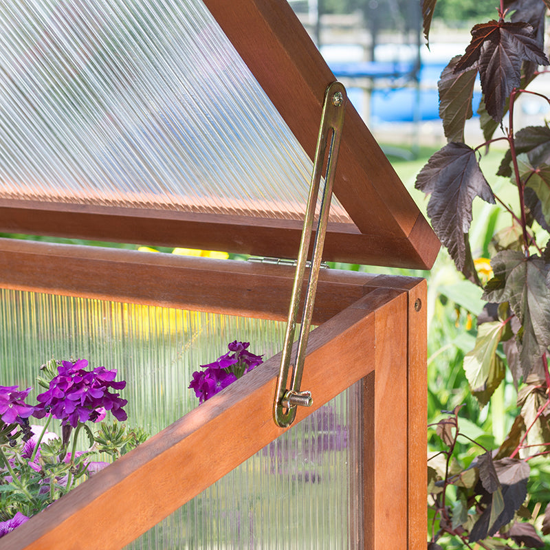 Rowlinson Square Mini Greenhouse