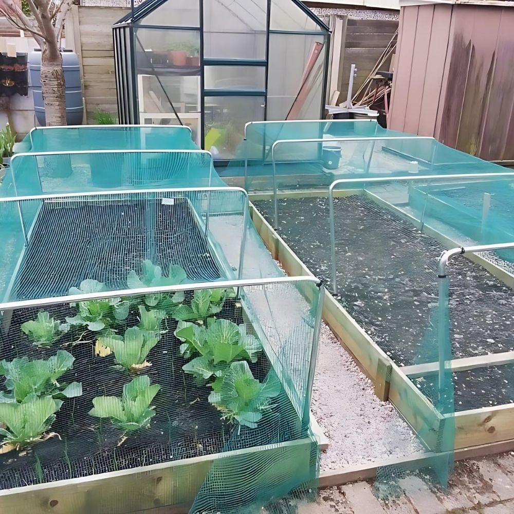 square aluminium hoops on raised beds