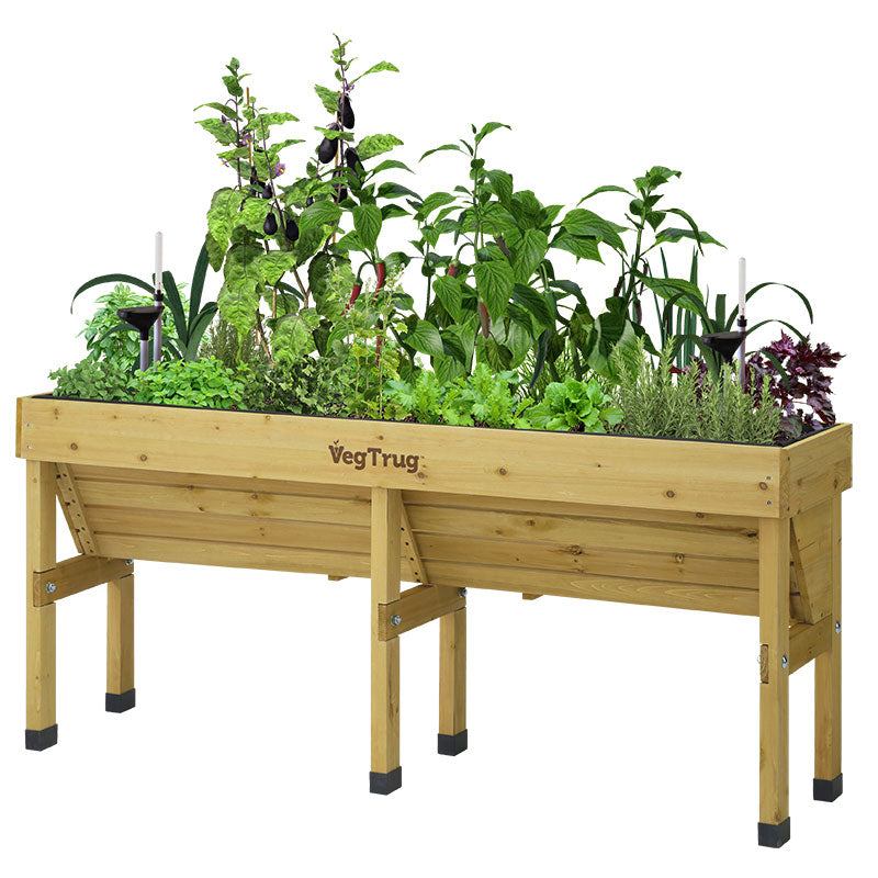 Vegtrug WallHugger Self Watering Kit