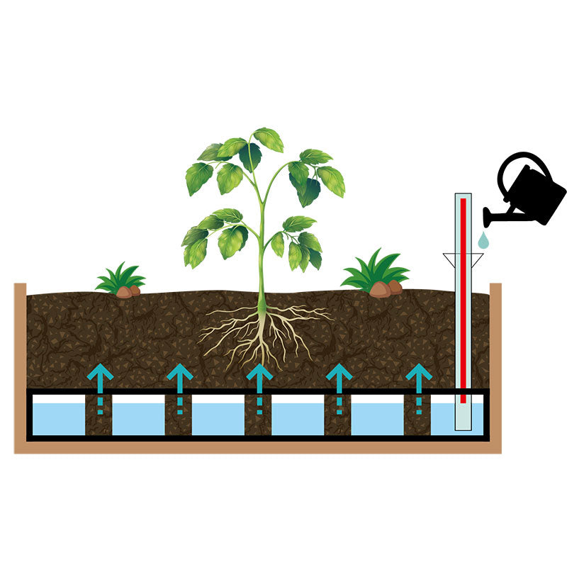 Vegtrug WallHugger Self Watering Kit