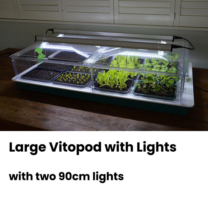 Vitopod propagator with lights included sitting on a kitchen table with plants growing inside