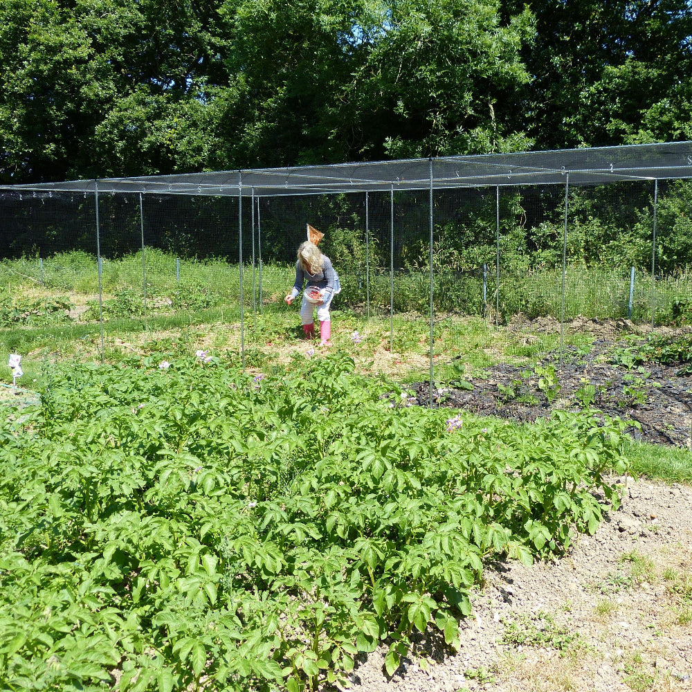 large fruit cage with door