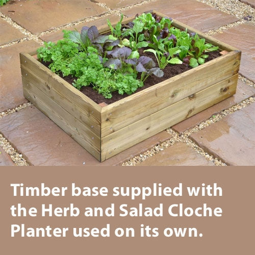 Access Herb And Salad Cloche Planter