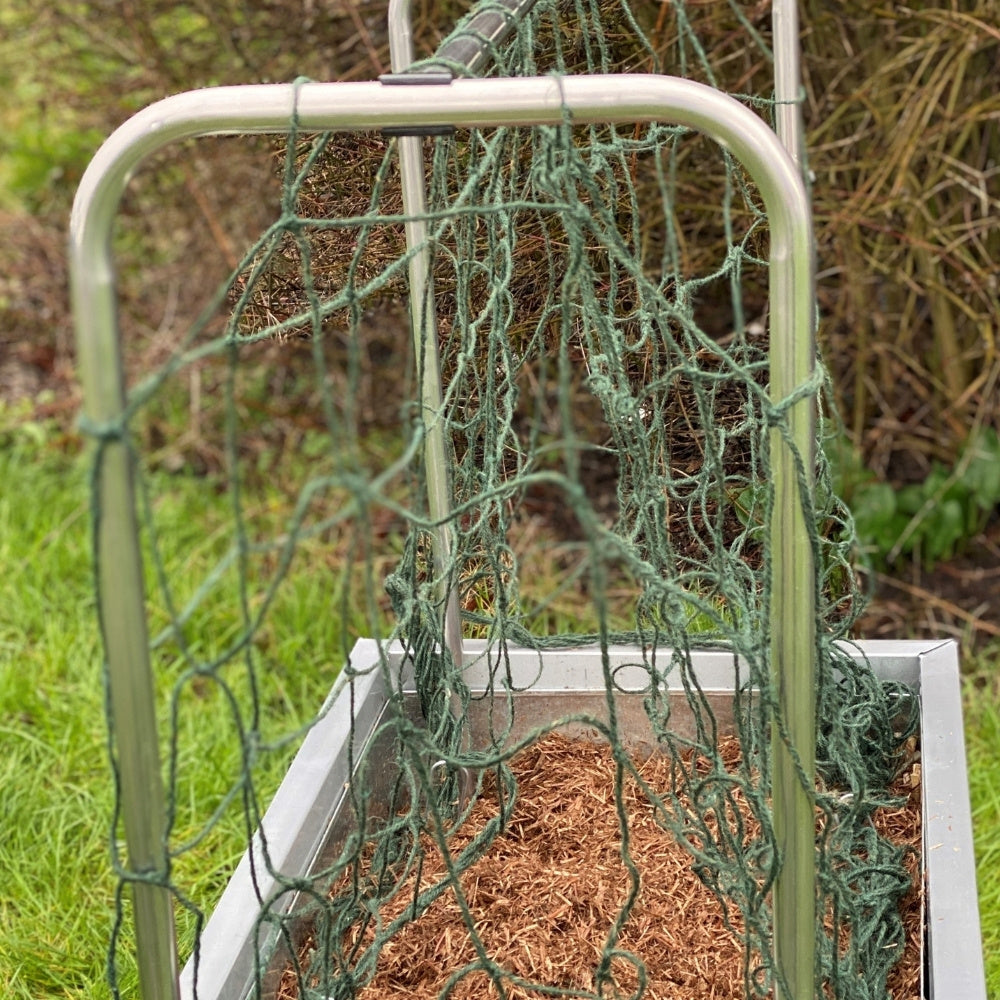 aluminium hoops with plants growing on it in a garden setting