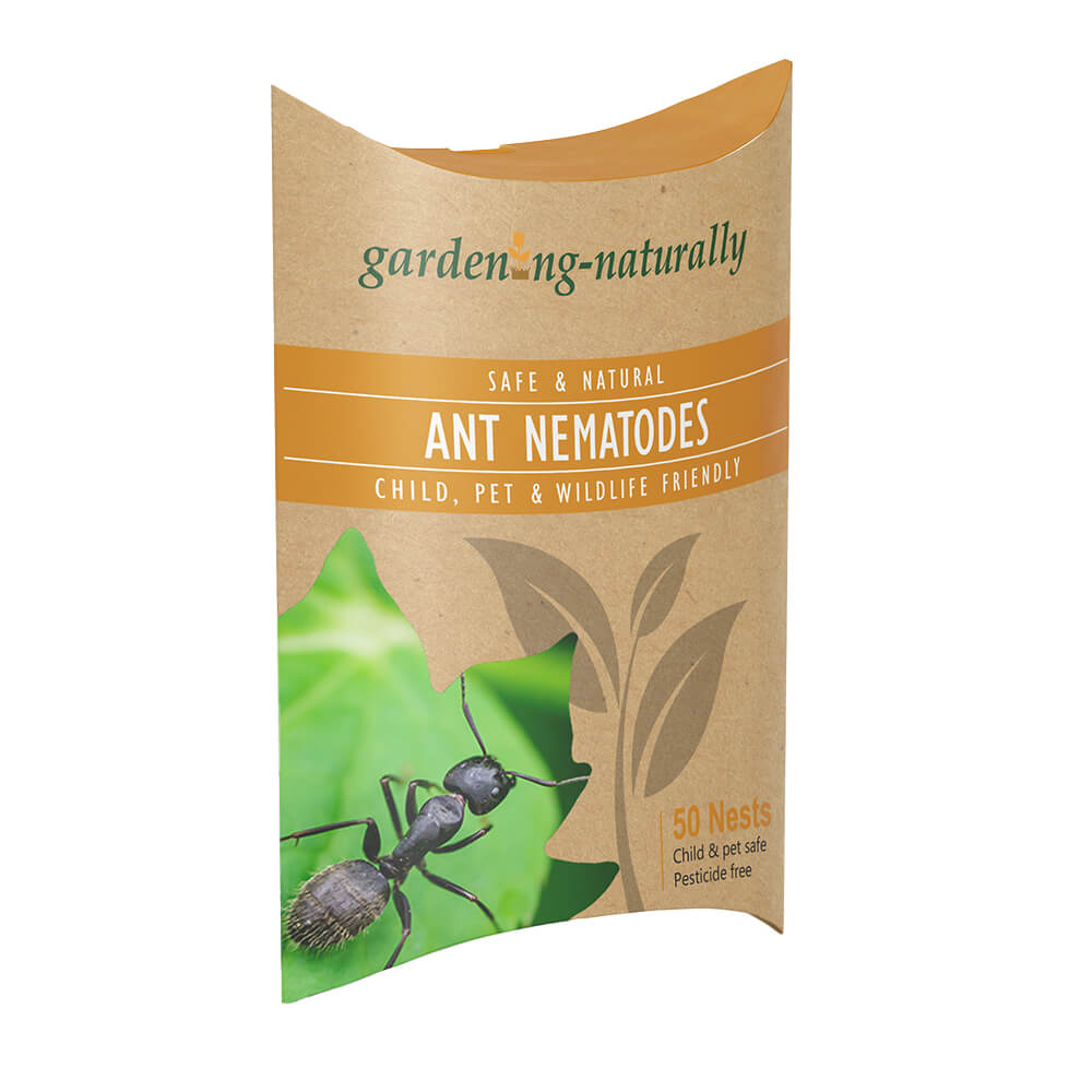 Nematodes for Ants Treats 16 or 50 Nests
