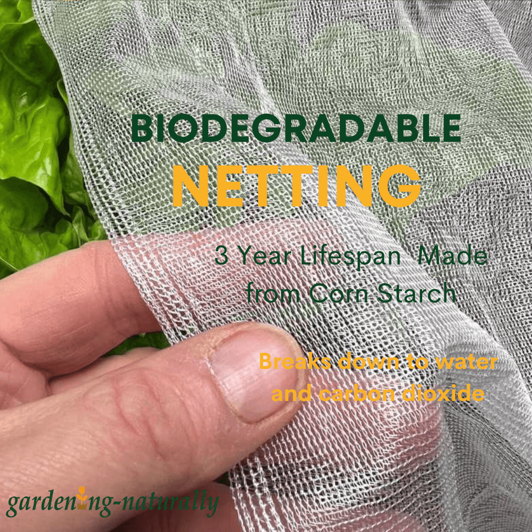 Biodegradable info graphics