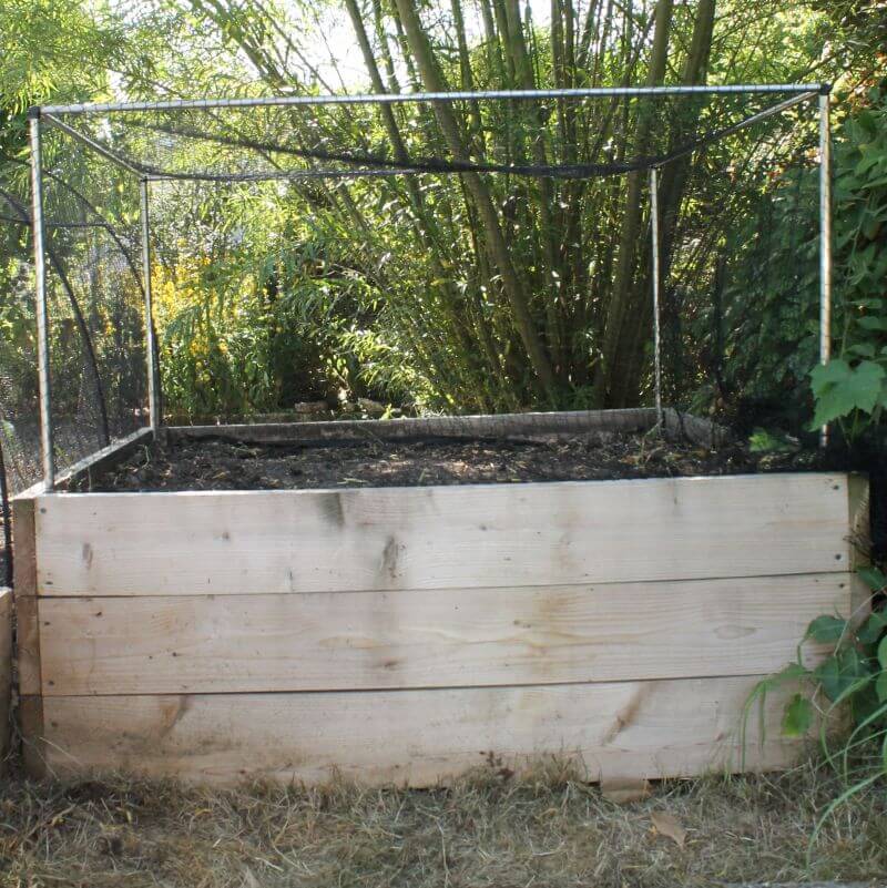 small vegetable cage