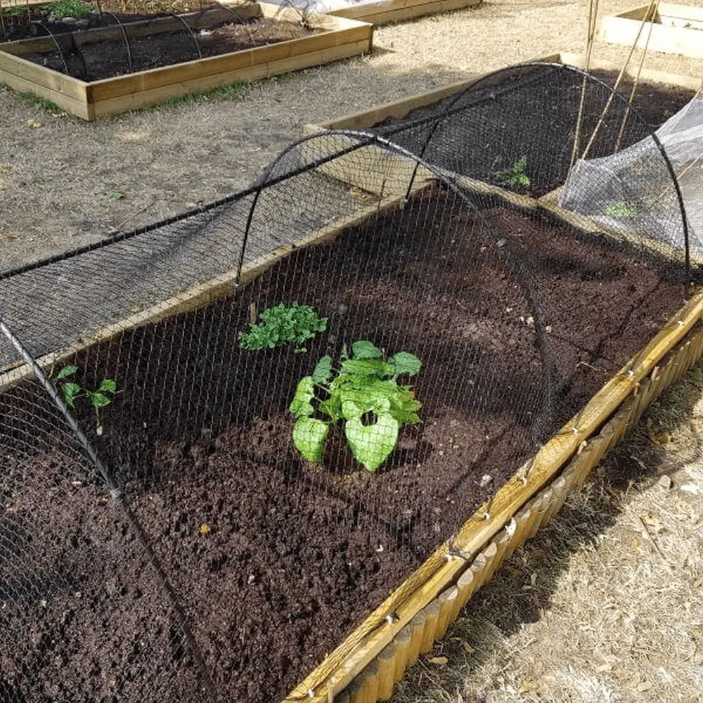 bird netting over garden hoops in raised bed