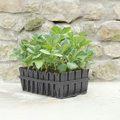 Root Trainer Plant Pot