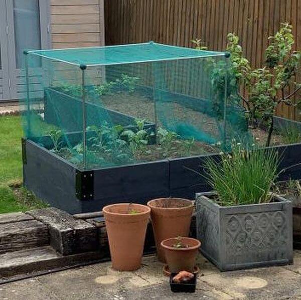 garden cage o protect crops