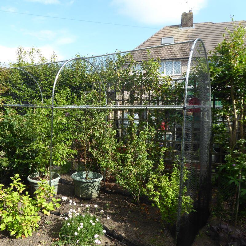 Large High-Top Aluminium Domed Fruit & Vegetable Cage