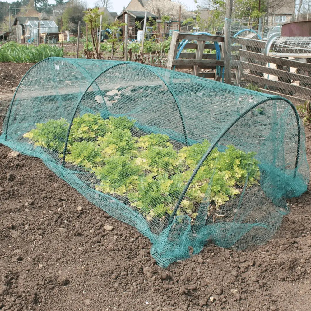 green butterfly netting over flexible black garden hoops over plants