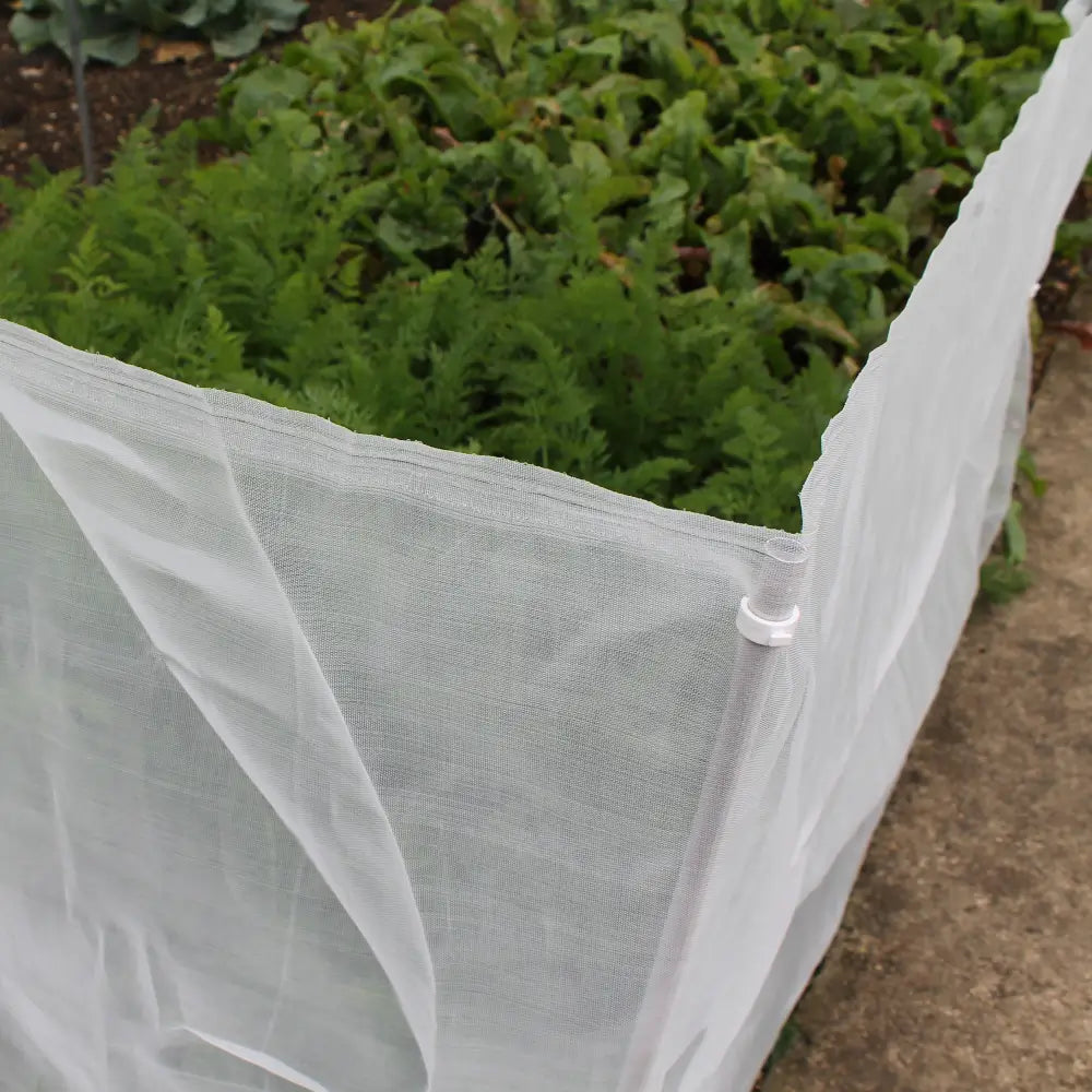 carrot fly netting kit in garden