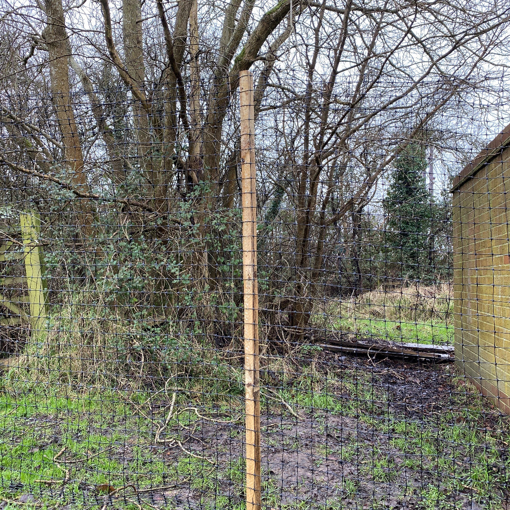 Deer Fence netting with wooden post in a natural setting