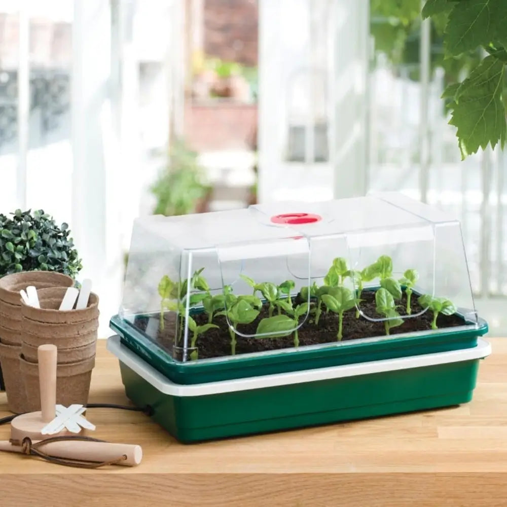 Green electric propagator with seedlings on a wooden surface