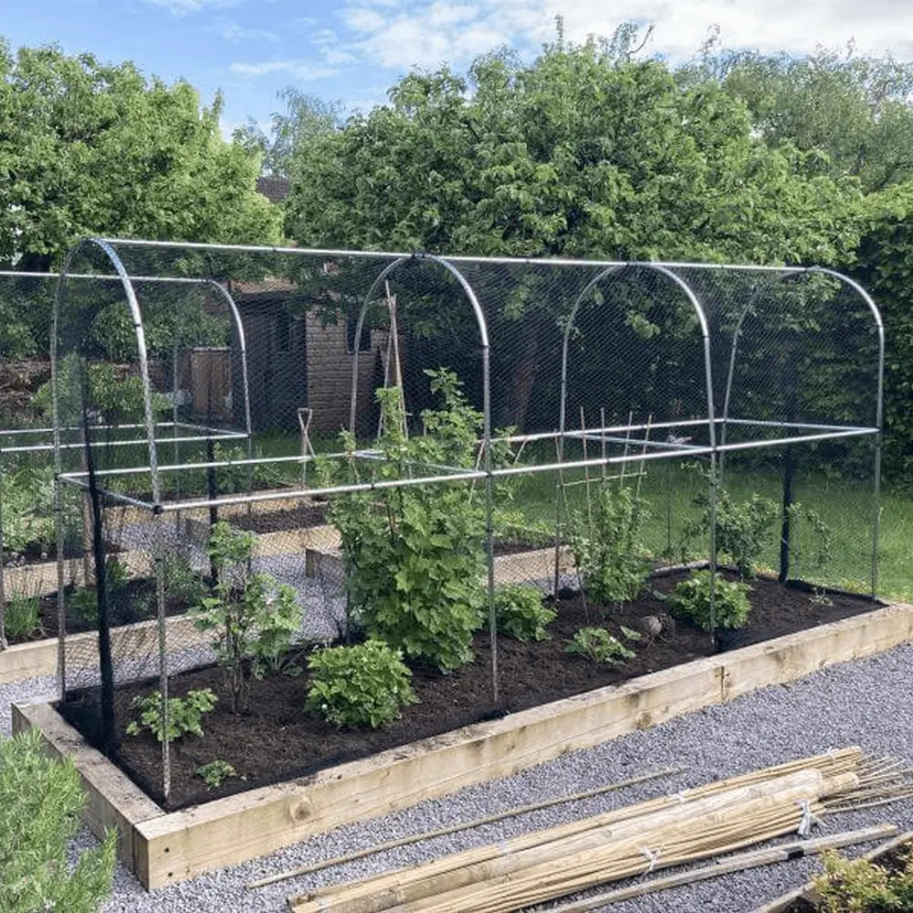 bird netting over fruit cage with fruit