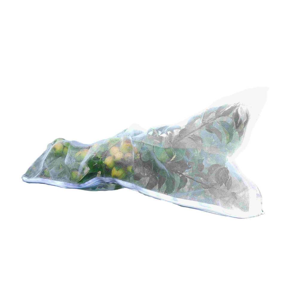 fruit tree sleeve for protecting fruit on trees