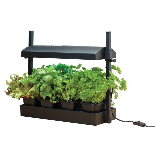 Compact Micro Grow Light Garden for Herbs and Salad