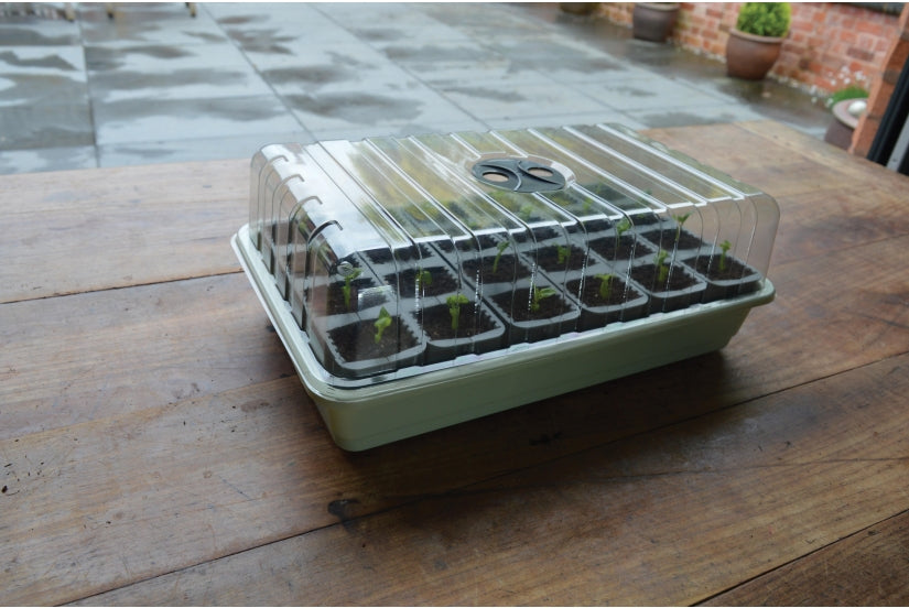 A self-watering seed success kit with 24 cells, featuring a clear cover, placed on a wooden surface.