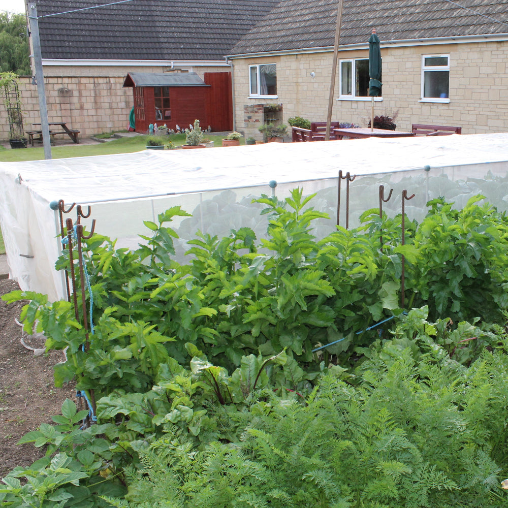 Low fruit cages or vegetable cages made of aluminum with insect netting erected in a garden setting, designed to protect plants.