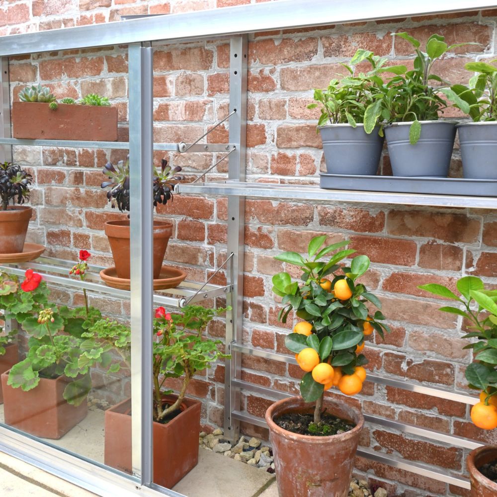 mini greenhouse on garden wall