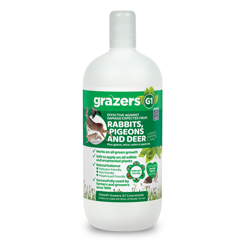 Rabbits, Pigeons, and Deer Grazers Natural Repellent
