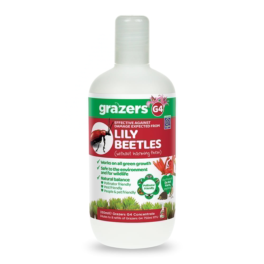 Grazers Lily Beetle Spray
