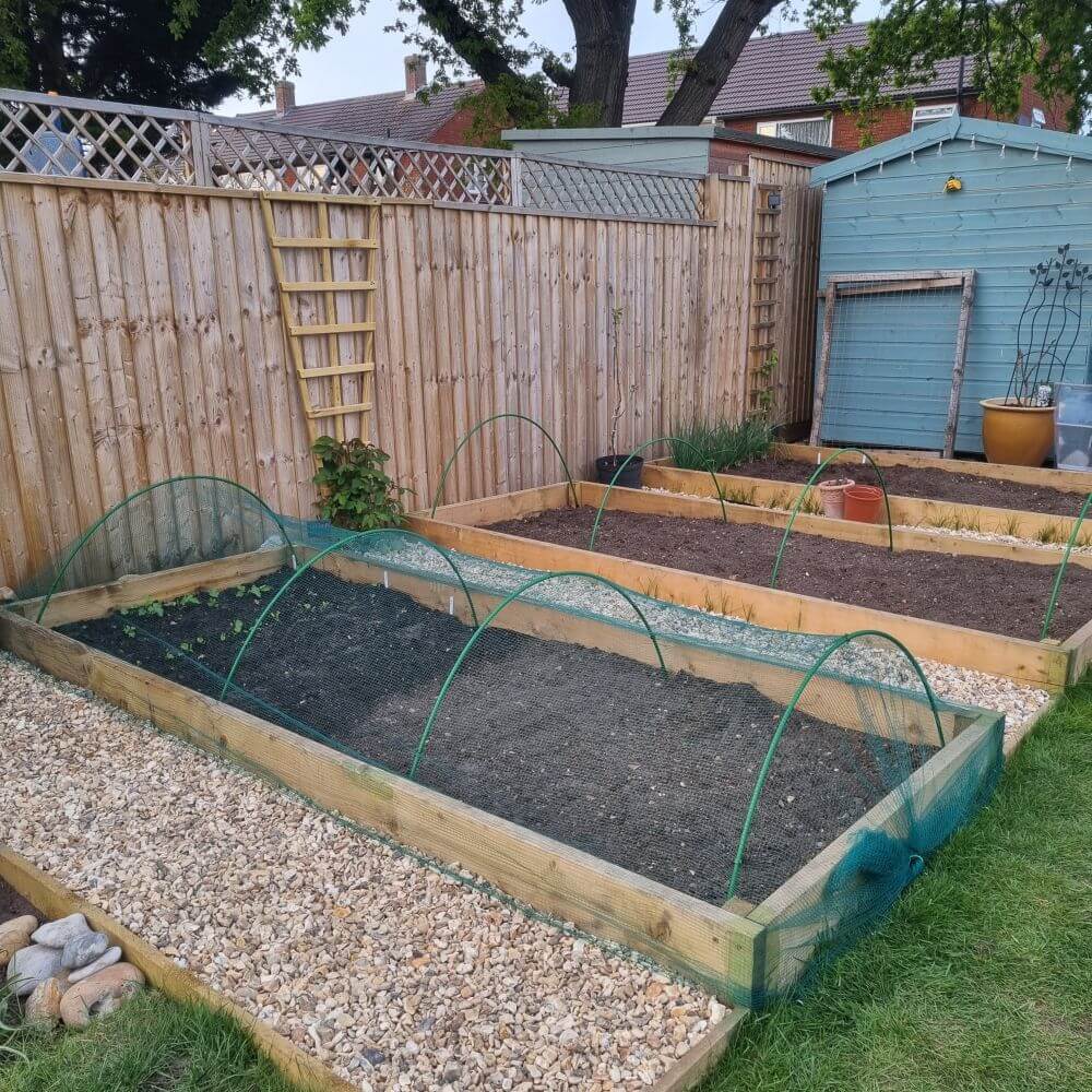 Vegetable garden with raised beds and green row cover in a backyard setting.