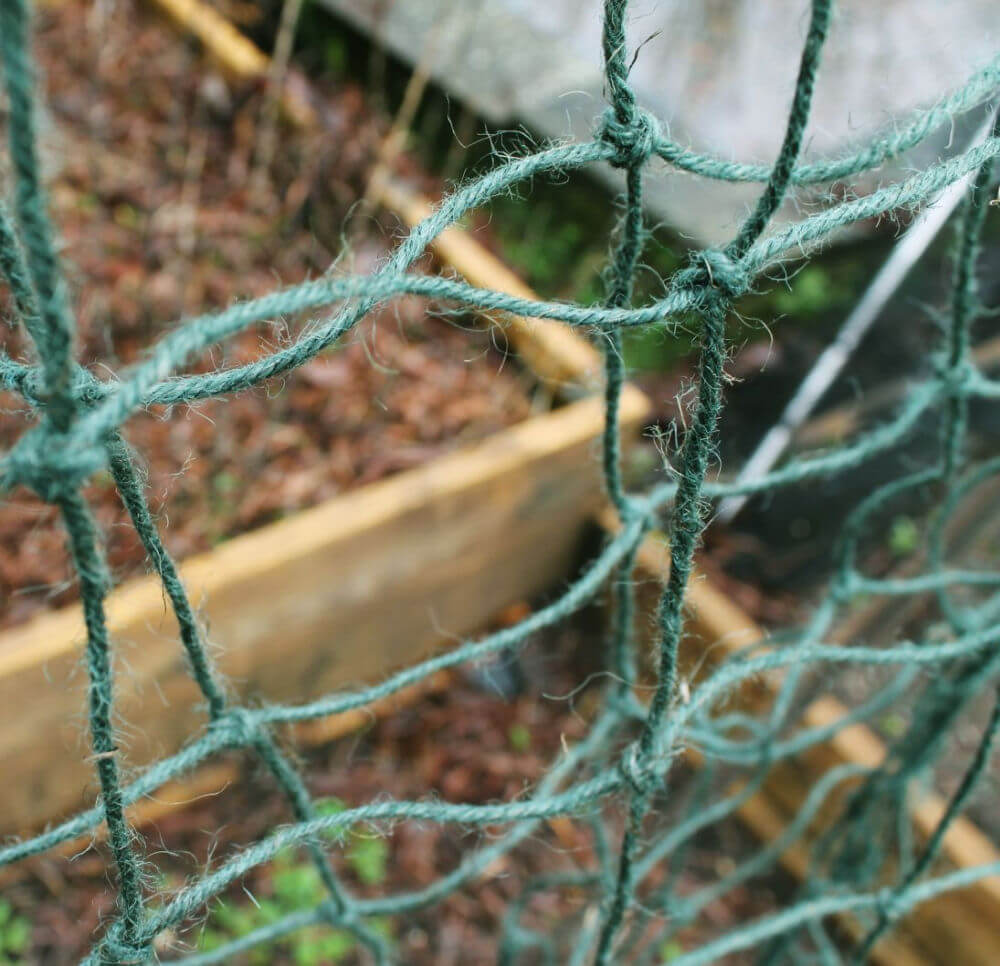 Close-up of green netting with a blurred background