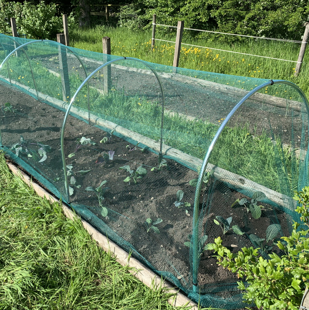 Small High-Top Aluminium Hoop Tunnel for Vegetable Protection