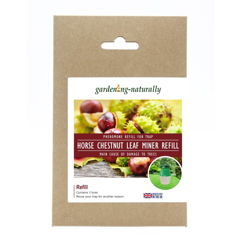 Horse Chestnut Leaf Miner Trap, Refills Available