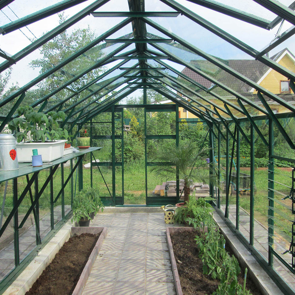 inside of a large green framed greenhouse