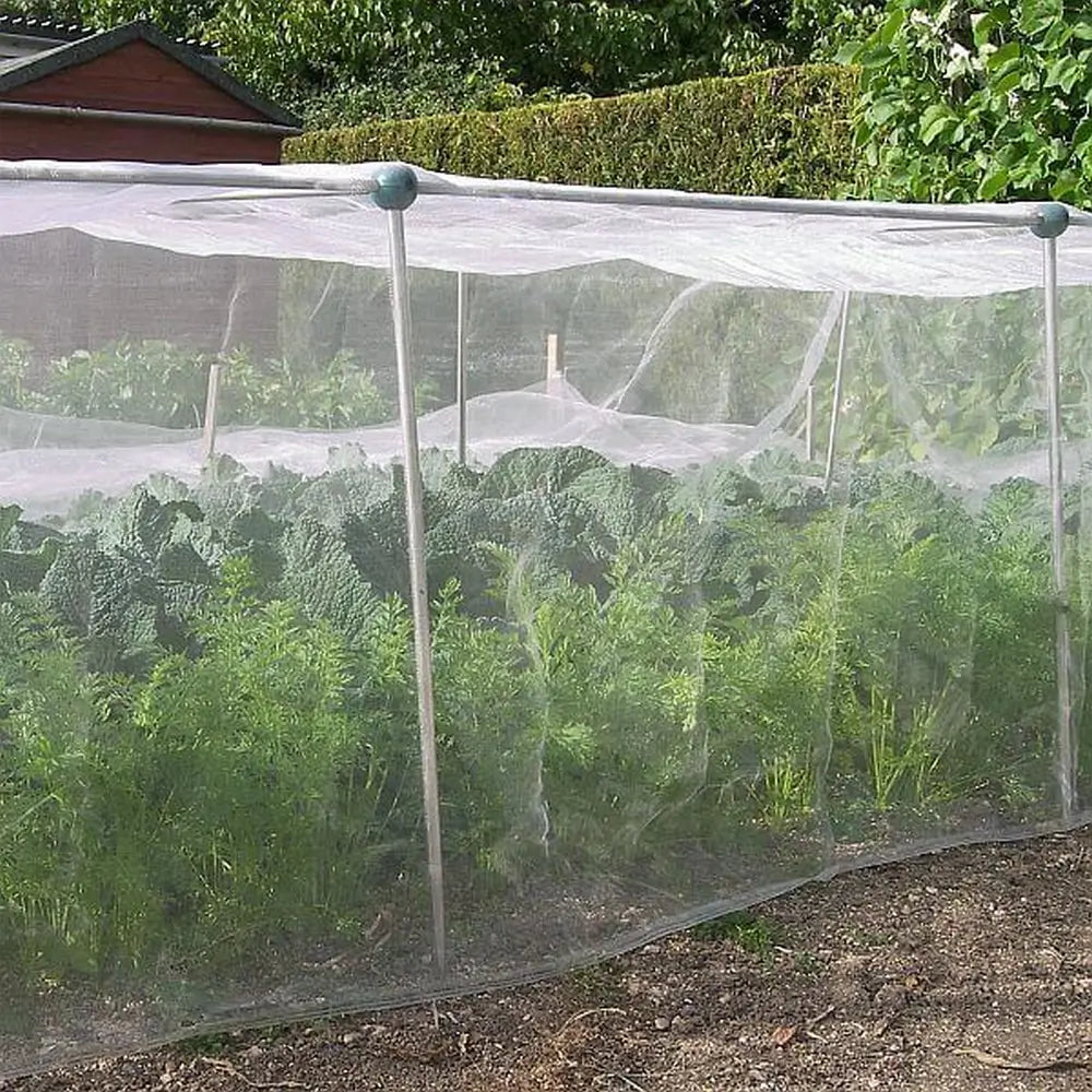 insect netting over garden cage with carrots and cabbages
